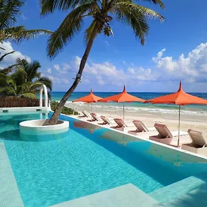Shambala Petit Tulum